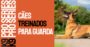 Cães treinados para guarda: o que você precisa saber antes de comprar