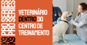 Por que ter um centro veterinário dentro do centro de treinamento faz toda a diferença?