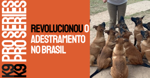 O Centro de Treinamento K9 Pro Series Revolucionou o Adestramento no Brasil