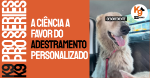 Sabe por que seu cão foi adestrado e ele não te obedece e você sai frustrado?
