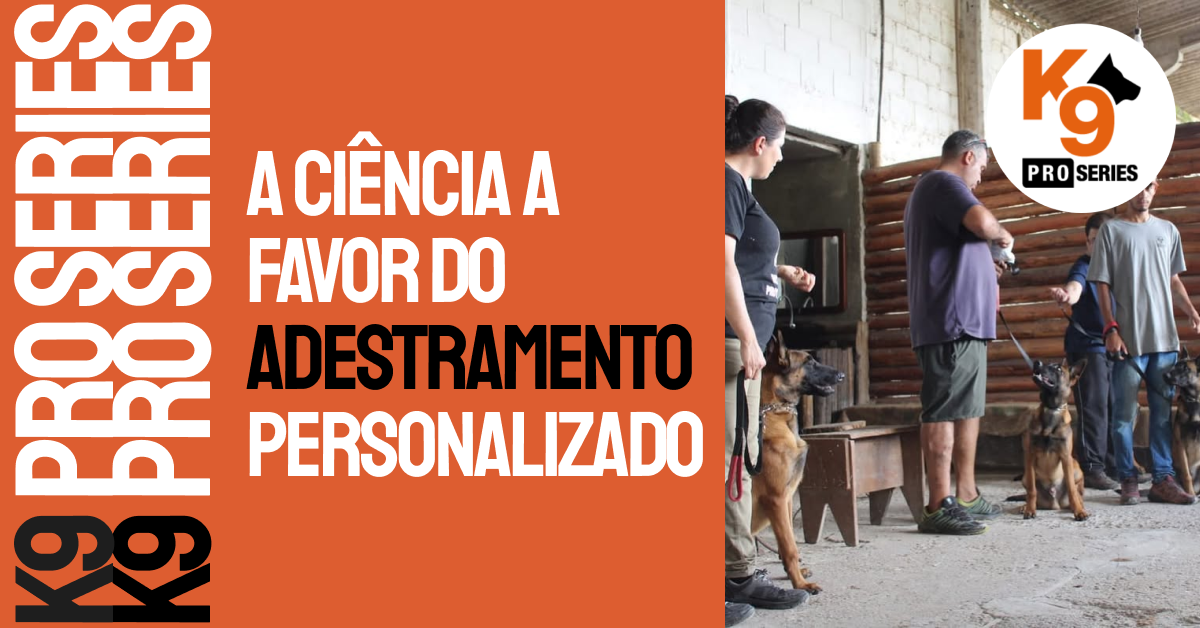 Teste Racial por DNA: A Ciência a Favor do Adestramento Personalizado