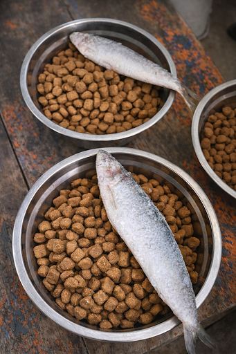 Ração com peixe