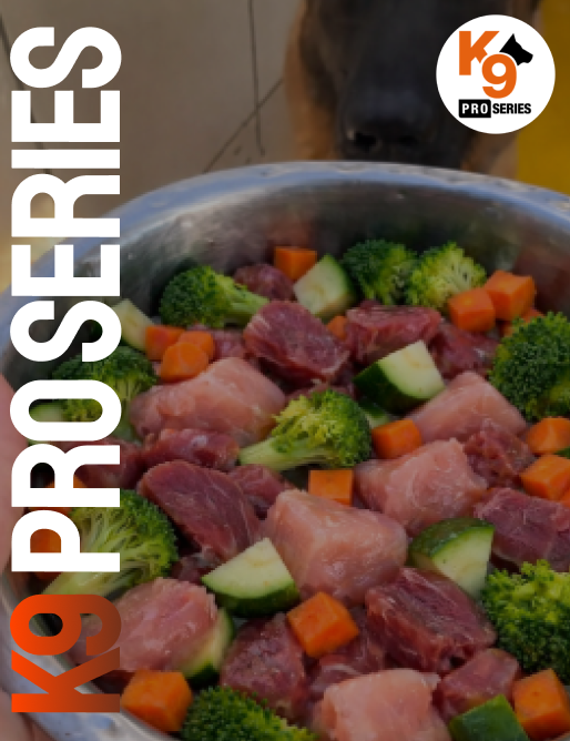 Ração seca ou alimentação natural: qual é a melhor opção para o seu cão?