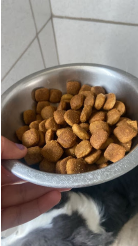 ração seca para cães
